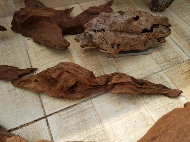 Aquarismo decoração de troncos - Foto 2