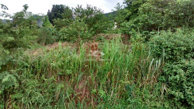 Jordão Corretores - Terreno de Esquina Boca do Mato - Foto 7