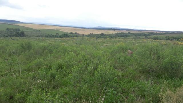 200 hectares de campo bom - Foto 3