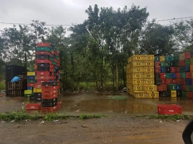 Terreno de 14 mil metros quadrados em frente à Ceasa Porto Alegre - Foto 2