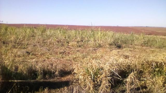 Fazenda Amanbai MS - Foto 8