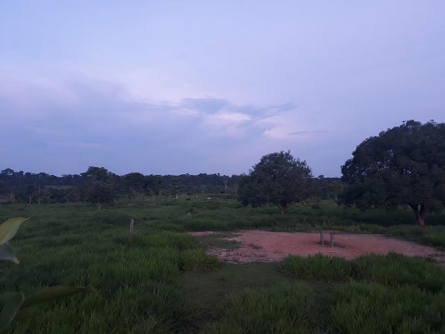 Terra/Colônia na BR 364 km 32 - Foto 3