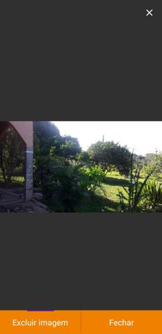 Uma linda terra proximo a Porto Acre - Foto 3