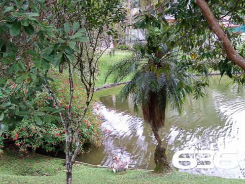 Casa | Joinville | Saguaçu | Quartos: 4 - Foto 6