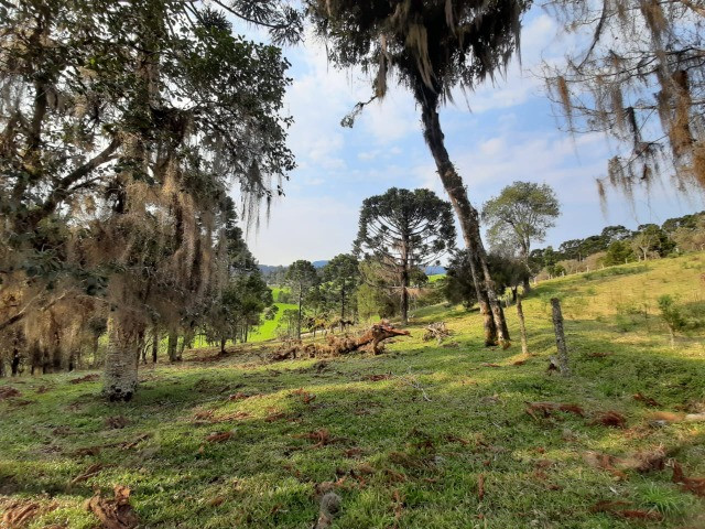 Sítio com Linda Vista em Rio Rufino - Foto 9