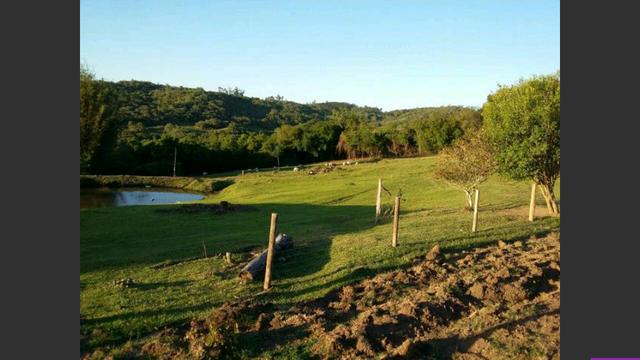 Propriedade rural - Foto 6
