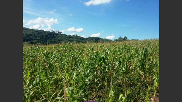 Propriedade rural - Foto 2