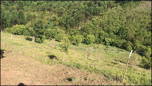 Vendo um lindo terreno de 600m2, próximo há - Foto 3