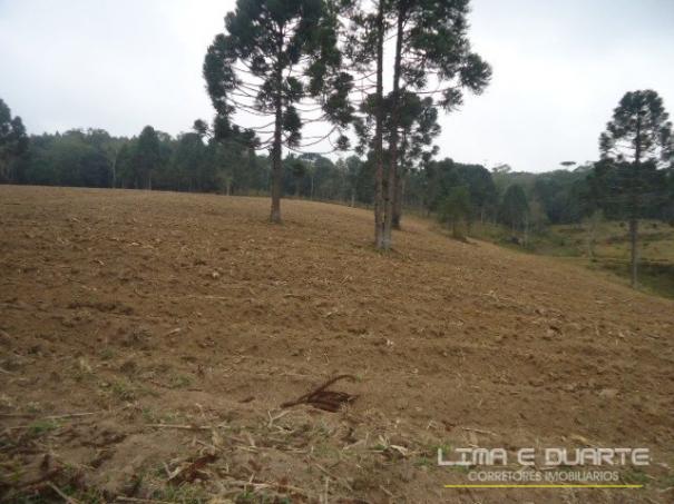 Chácara à venda em Bituvinha, Mafra cod:216CH - Foto 17