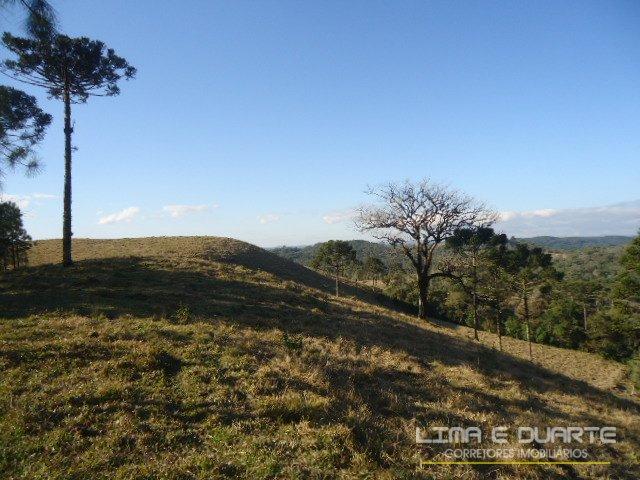 Chácara à venda com 0 dormitórios em Serra alta, São bento do sul cod:194CH - Foto 6