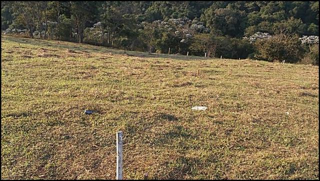 Vendo um lindo terreno de 600m2, próximo há - Foto 5