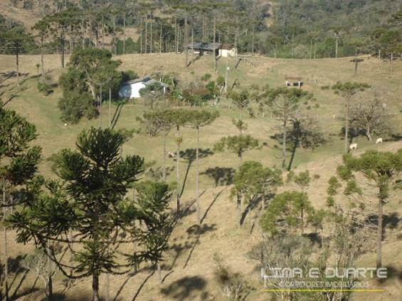 Chácara à venda com 0 dormitórios em Serra alta, São bento do sul cod:194CH - Foto 9