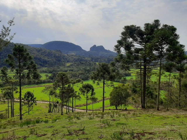 Sítio com Linda Vista em Rio Rufino - Foto 4