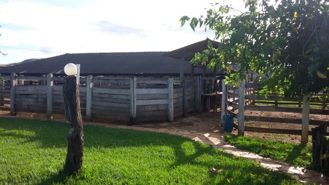 Fazenda 520 hectares em Taguatinga DF - Foto 4