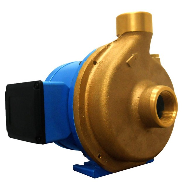 Eletrobomba Sanitária Até 70 Graus 15/1 S 220v Bomba Rowa