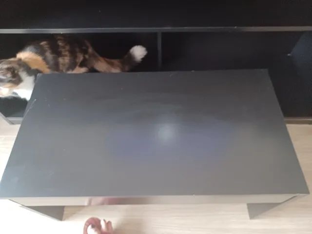 Conjunto rack+ painel de TV 40 polegadas+ mesa de centro - Foto 3