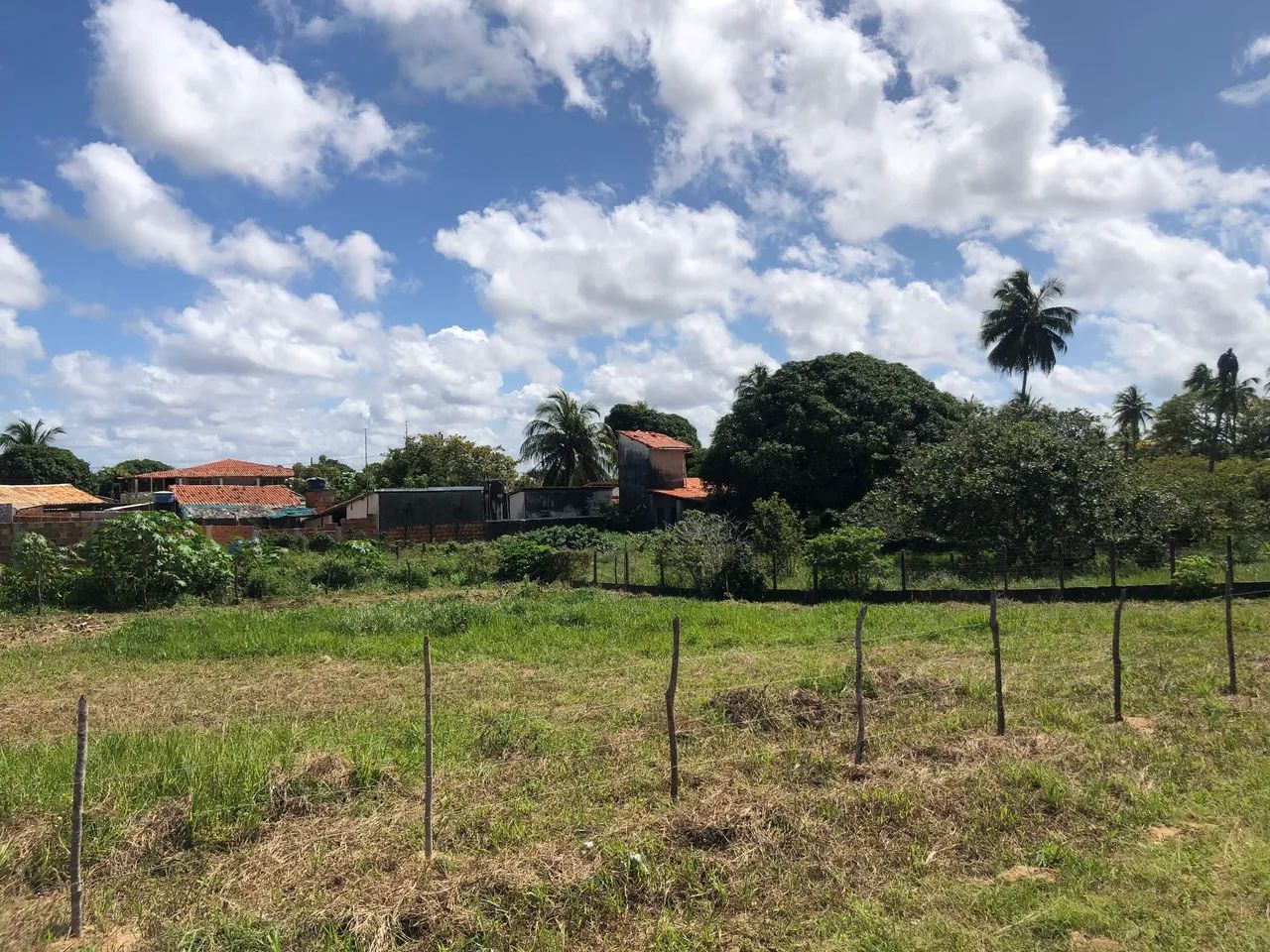Lote Escriturado de 9 x 28 (252 m²) no Mosqueiro (Bairro Areia Branca)! - Foto 4