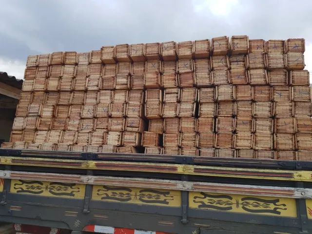 Forro de Cedro - peças curtas e longas