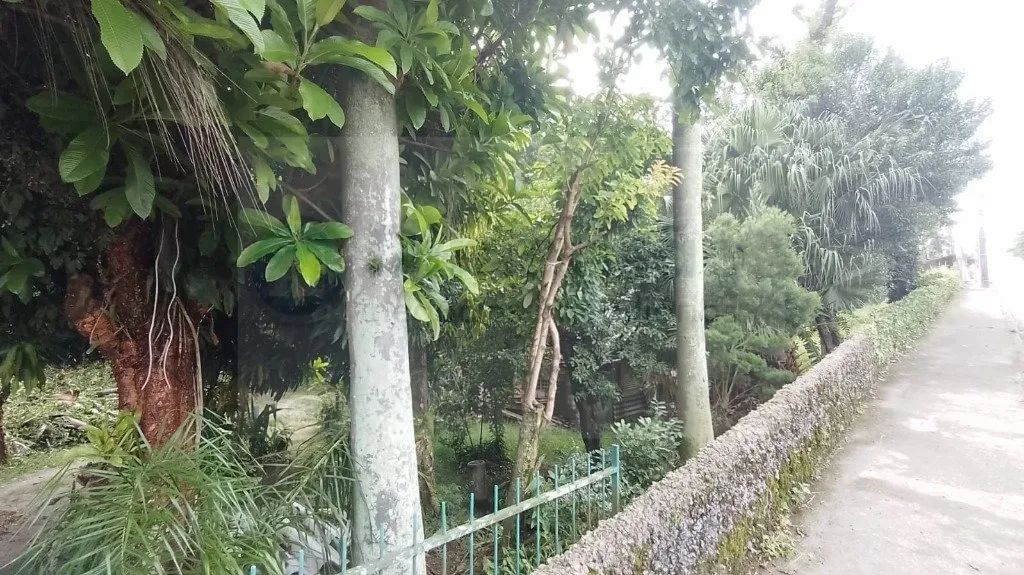 Terreno à venda em Florianópolis - Foto 2