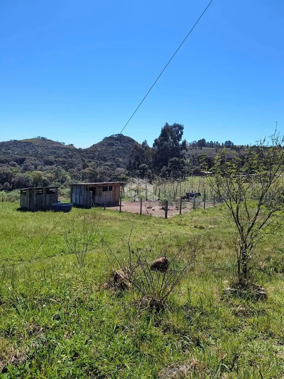 Sítio com 84348,00m2, casa com 215m2, Bom Jardim da Serra, SC - Foto 4