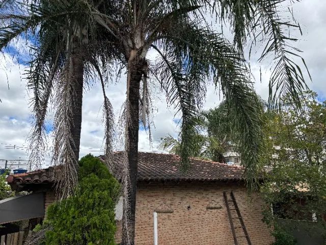 Telhado Colonial em excelente estado. 