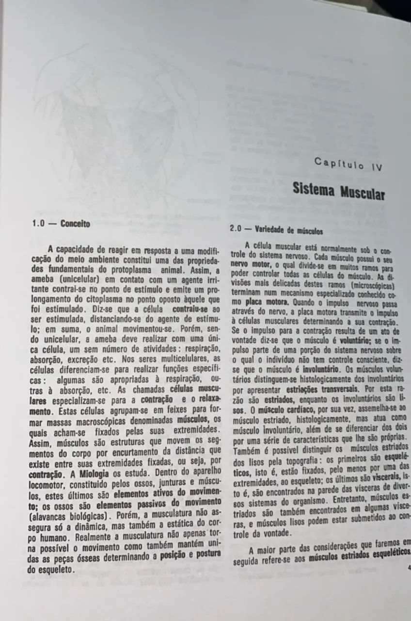 Livro de Anatomia Humana Básica64961574774914121