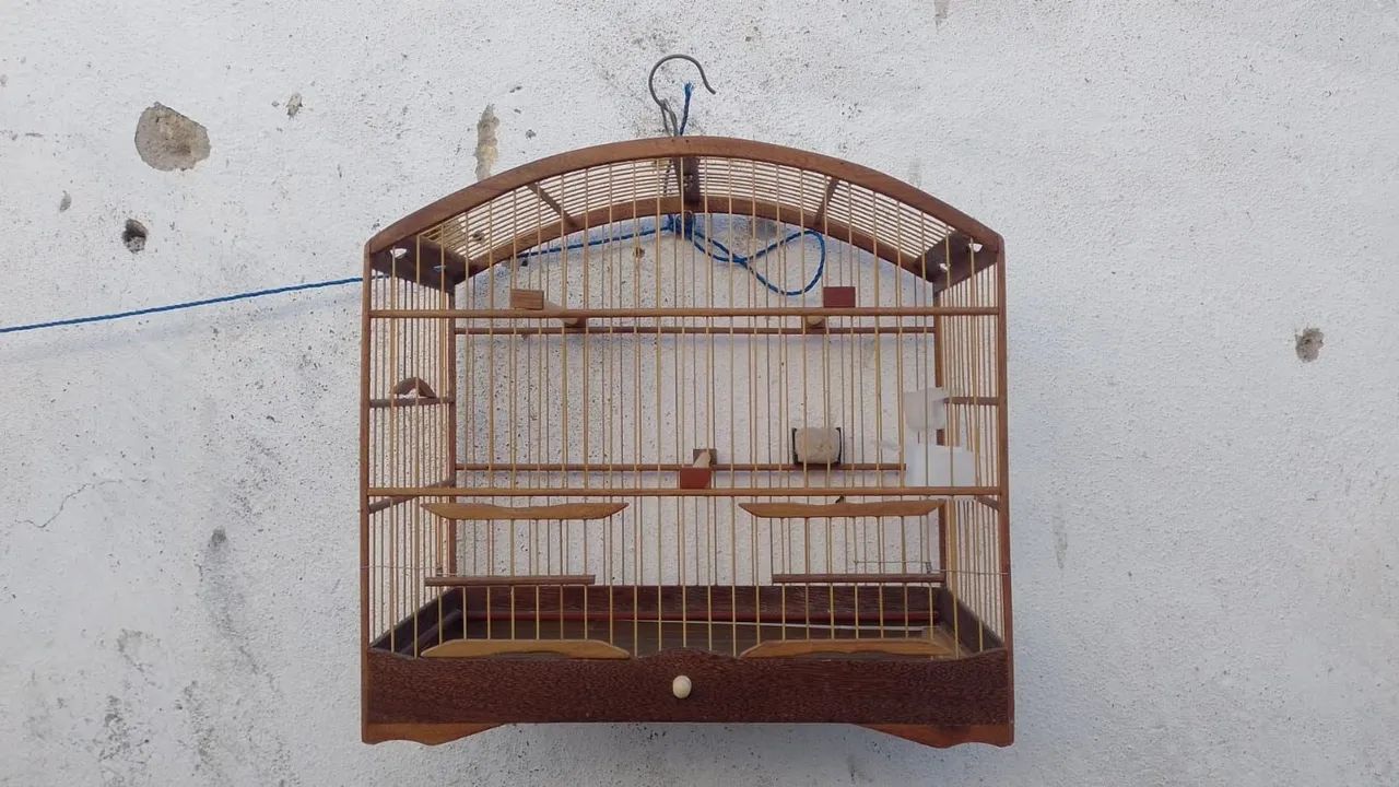 Tenho uma gaiola nova pra vender 70 reais - Foto 4