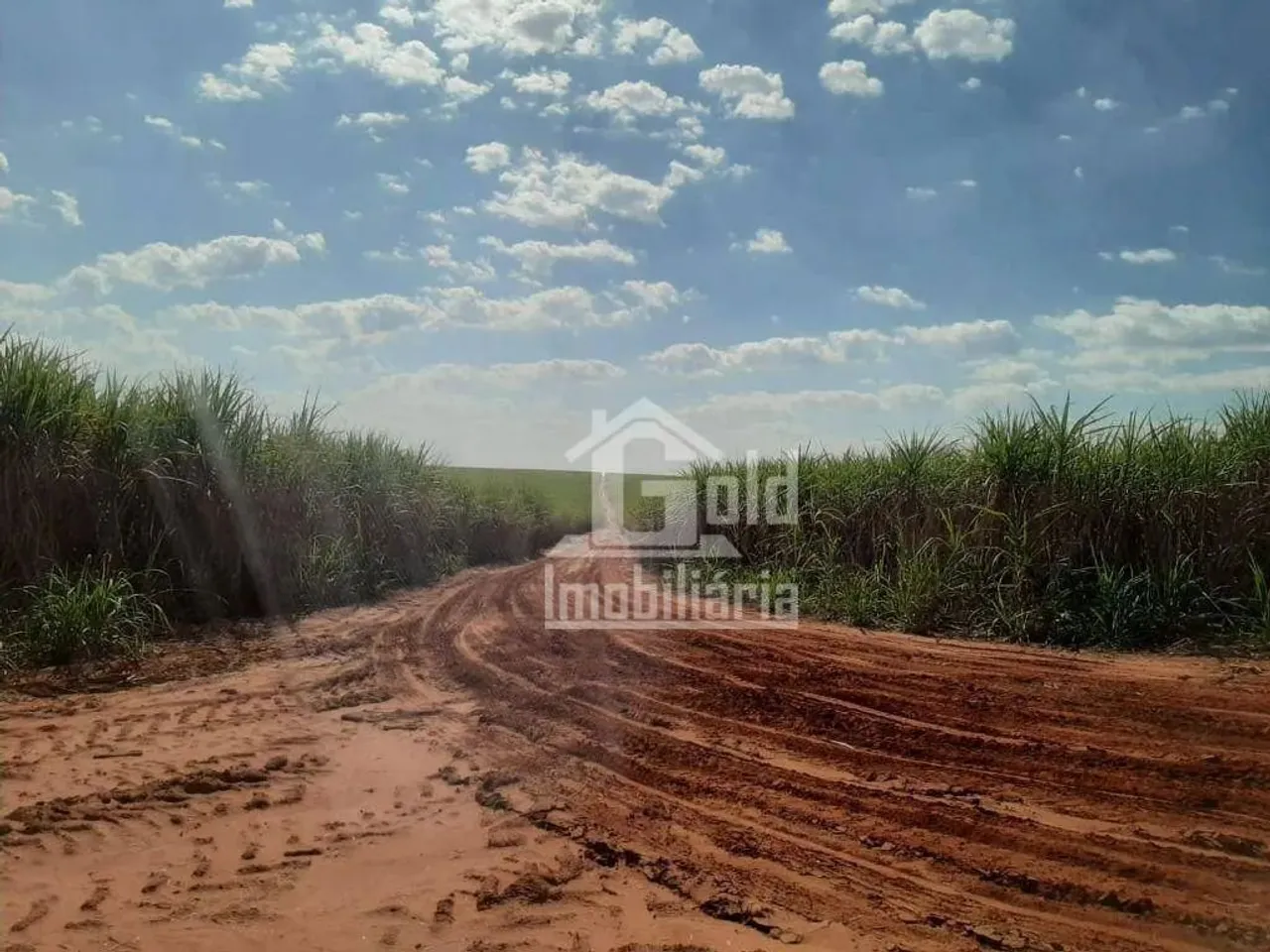 Sítio à venda, 28 Alqueires por R$ 8.400.000 - Zona Rural - Bocaina/SP