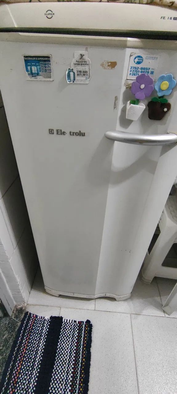 Freezer Electrolux Fe 18