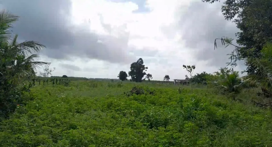 LOTES À VENDA NA COOPERATIVA 1 NÚCLEO