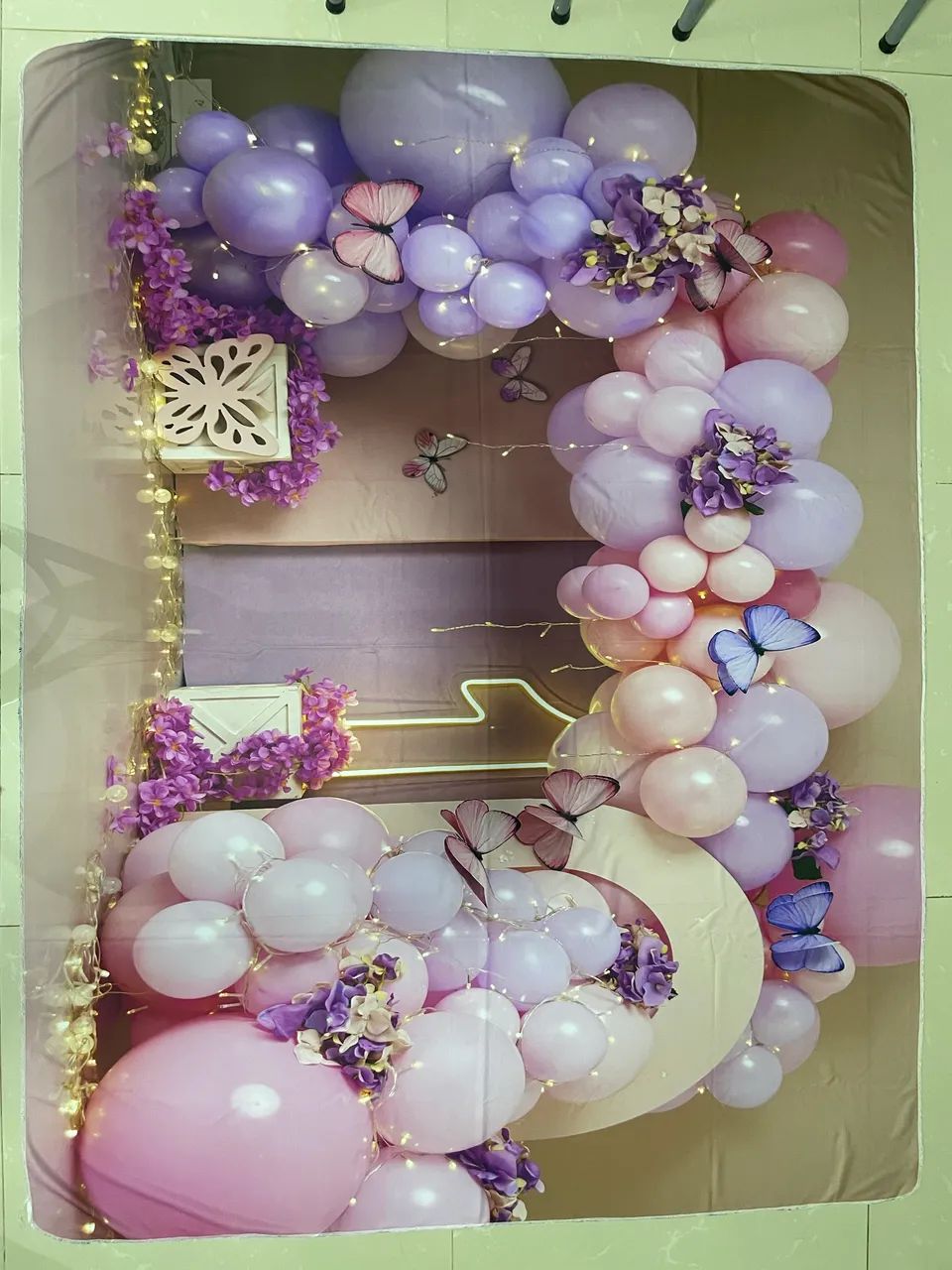 Fundo fotográfico  - Foto 3