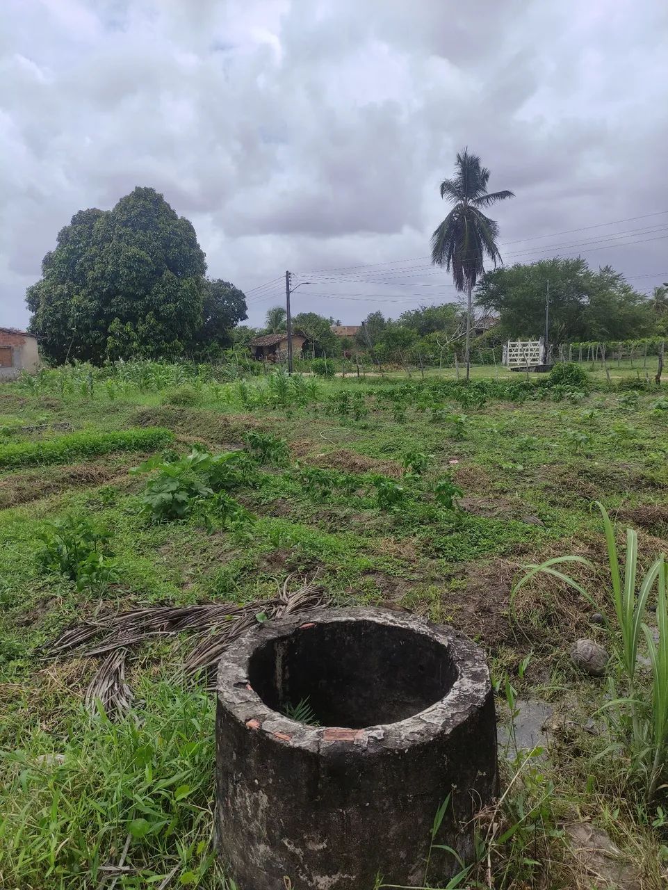 Sítio com casamuito bom na cidade  - Foto 5