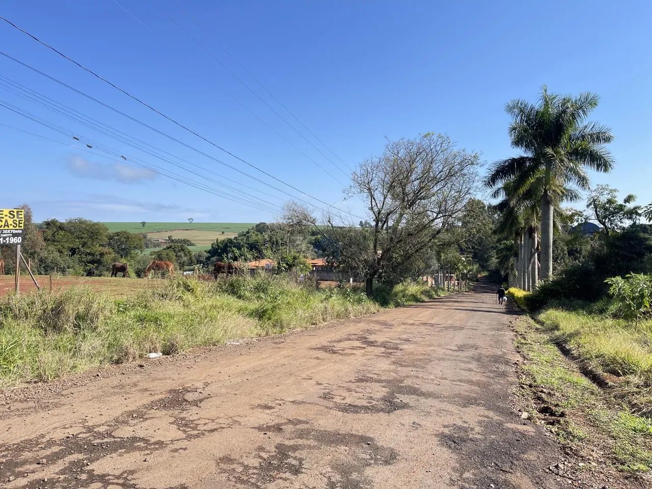 Terrenos de 1.000m², na Região Central, urbana, em Faxinal/PR! - Foto 2