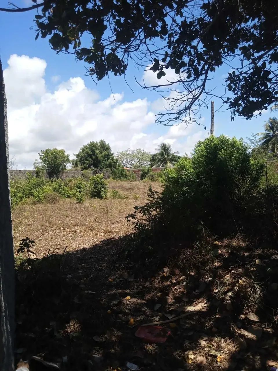 TERRENO NO MOSQUEIRO - MATAPOÃ [24173]