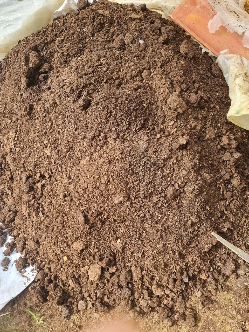 Esterco de galinha 10.00 o saco