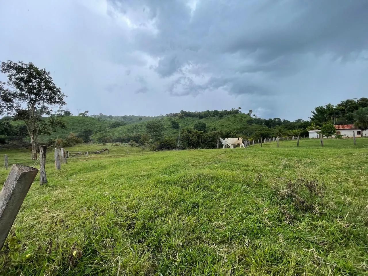 Fazenda boa disponível  - Foto 5
