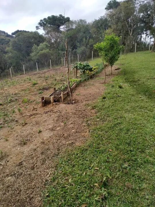 Chacara em Mandirituba - Foto 15