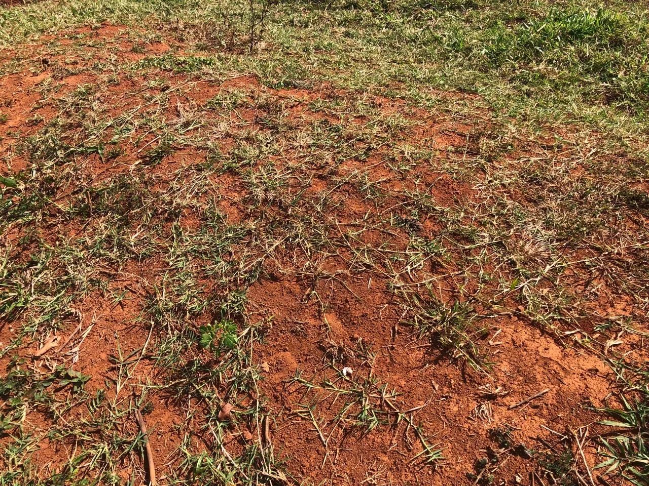 Fazenda de 35 alqueires  - Foto 2