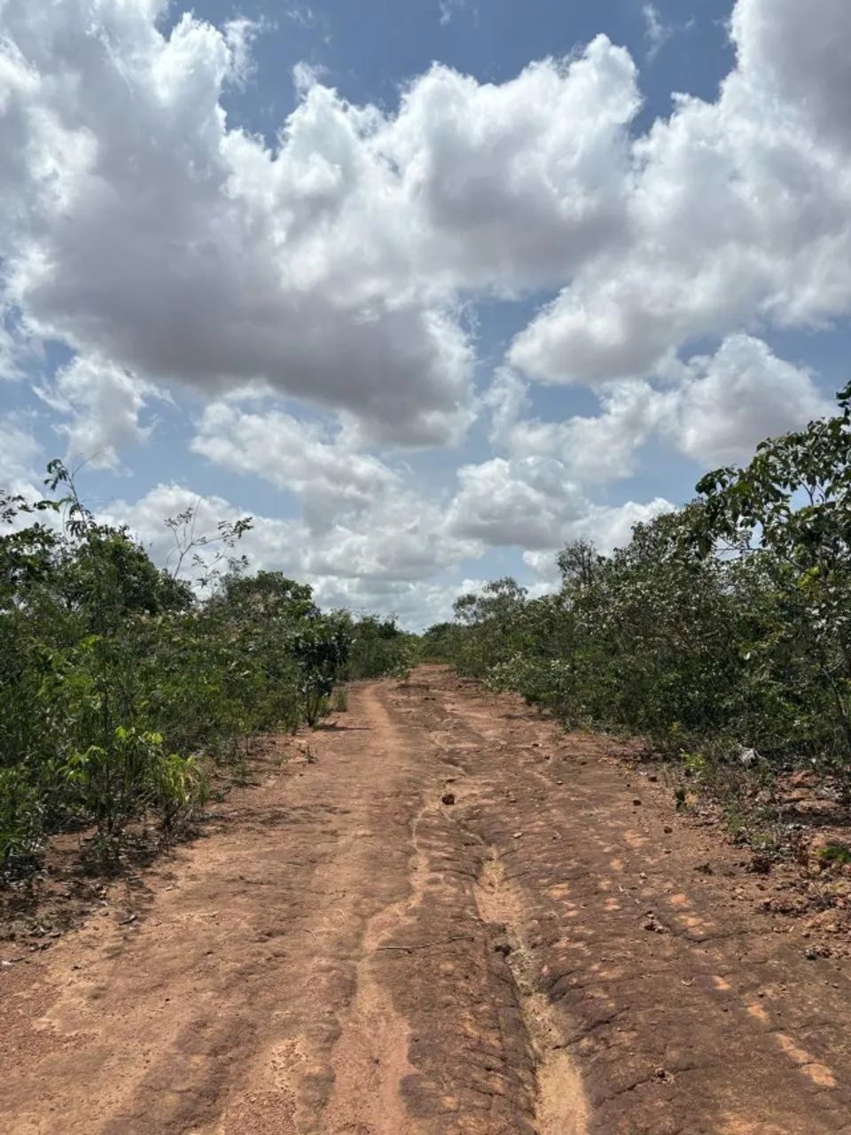 Fazenda em Alto Parnaíba do Maranhão - Foto 3