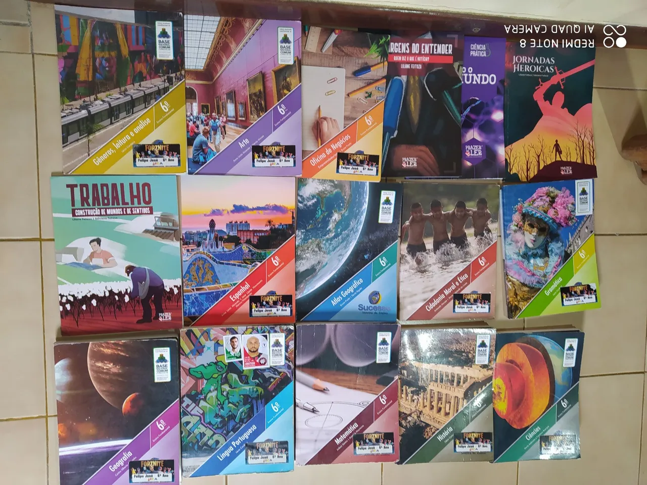 Livros 6 ano editora sucesso