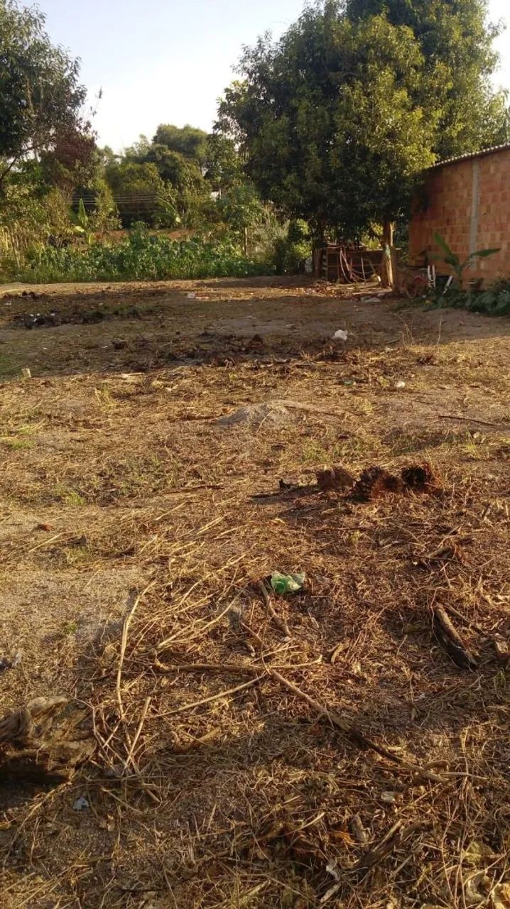 Terreno 12x30 - Foto 2
