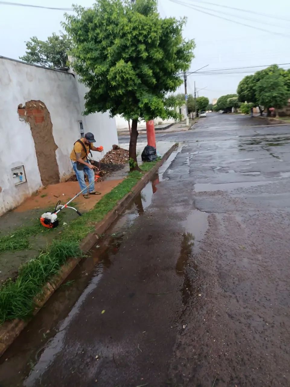 Serviço de jardinagem e limpeza de estofados  