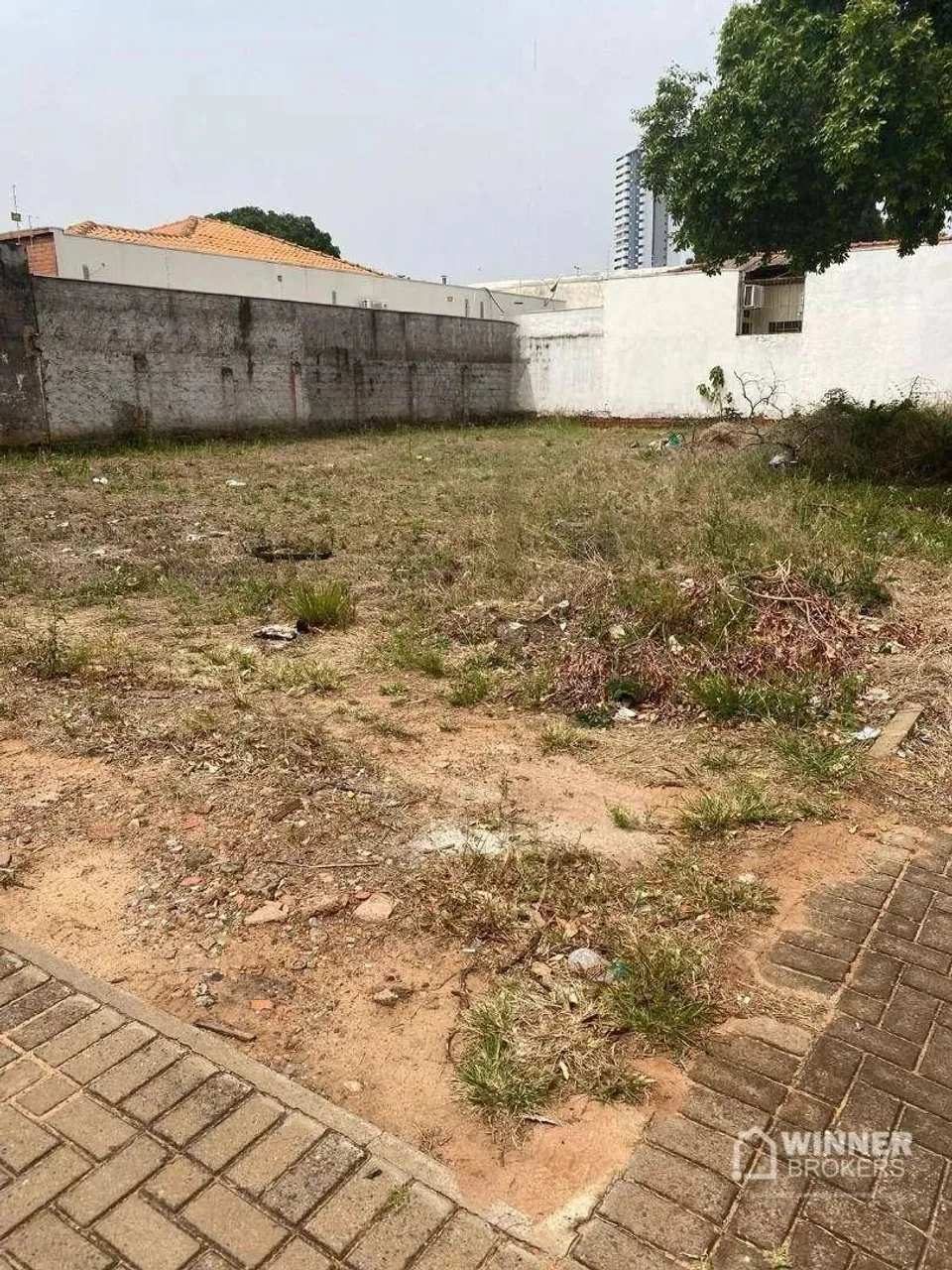 Terreno, 340 m² - venda por R$ 900.000,00 ou aluguel por R$ 3.000,00 - Centro - Paranavaí/