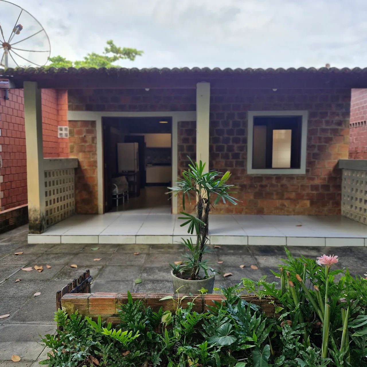 Foto - Tamandaré - 