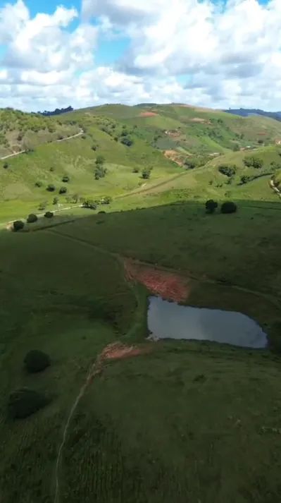 Fazenda em Amaraji/PE à Venda (FA0176-PV) - Foto 4