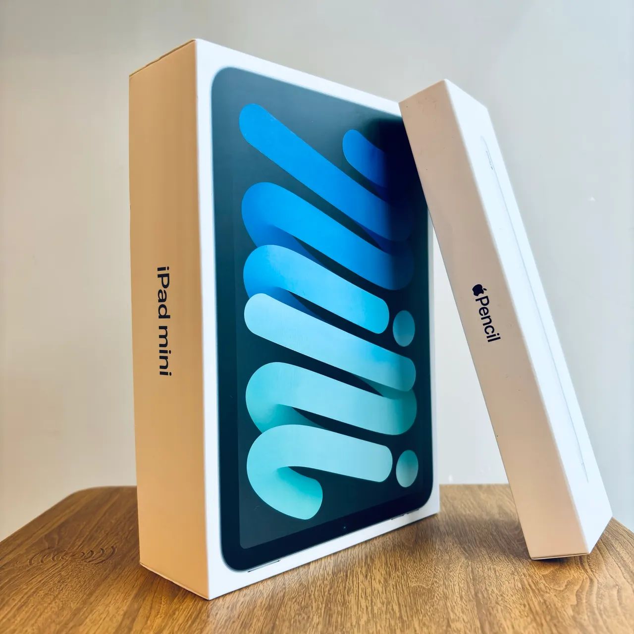 iPad Mini 6ª Geração 256GB + Apple Pencil 2ª geração + acessórios