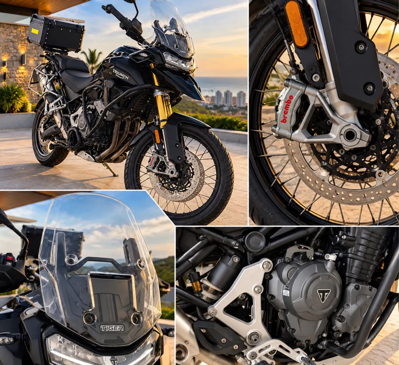 TRIUMPH TIGER BLACK EDT 2024 - Foto 2
