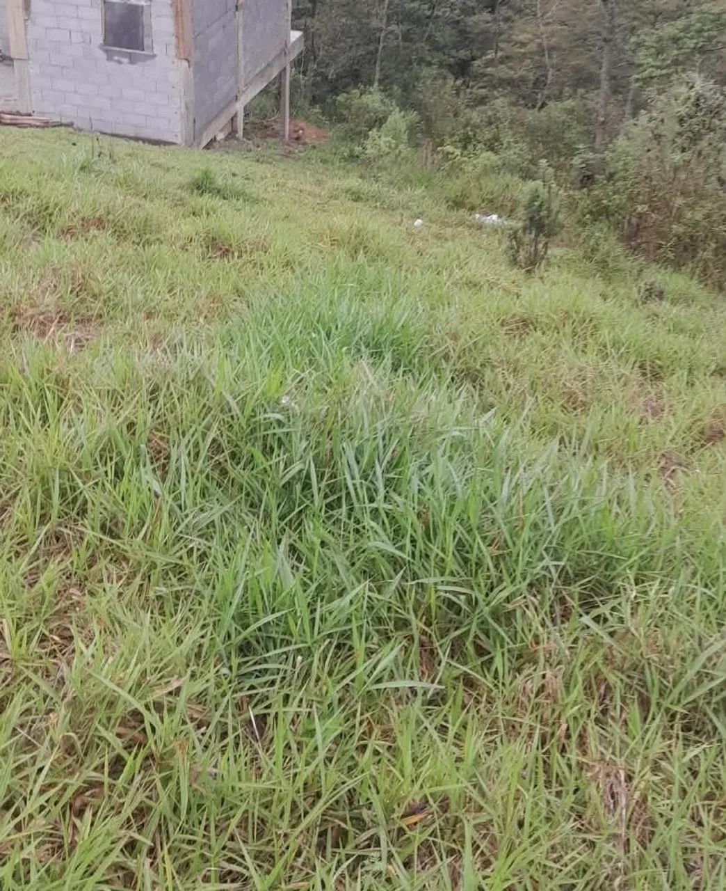 Ótima oportunidade para investir ! - Foto 3