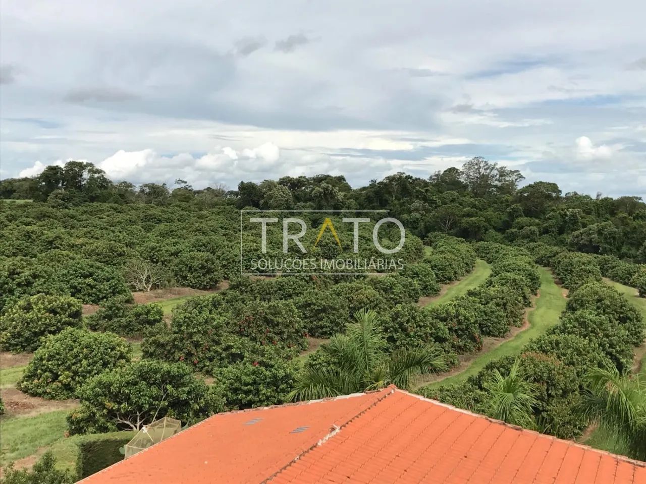área - São Berto - Manduri - Foto 3