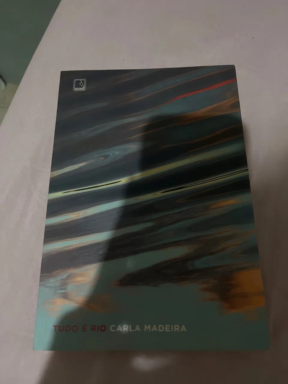 Livro Tudo é rio 